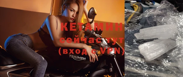 прущие грибы Балахна