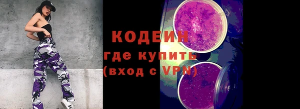 прущие грибы Балахна