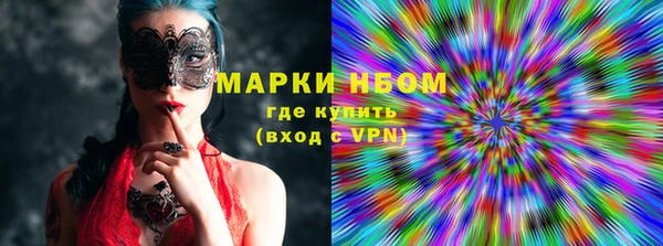 прущие грибы Балахна